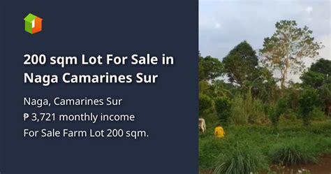 Lot for Sale in Naga Camarines Sur .